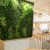 verticale-tuin-automatisch-systeem-duurzaamste-kantoorpand-haelen-roermond-4-1024x683